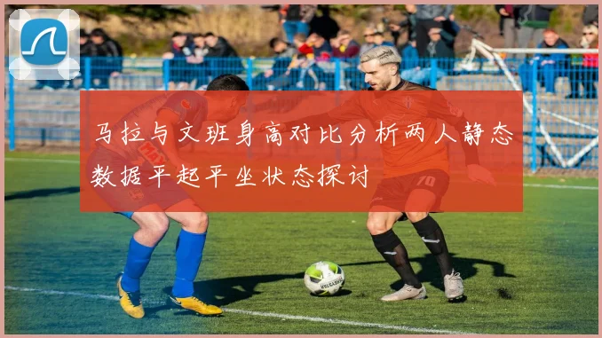 马拉与文班身高对比分析两人静态数据平起平坐状态探讨